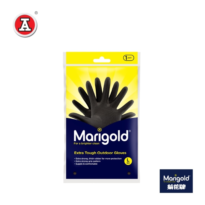 MG251298-cover1