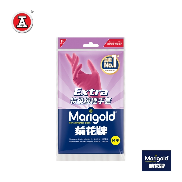 MG251731-cover